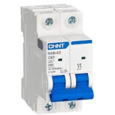 Chint NXB-63 Miniature Circuit Breaker (MCB) 2Pole 50A