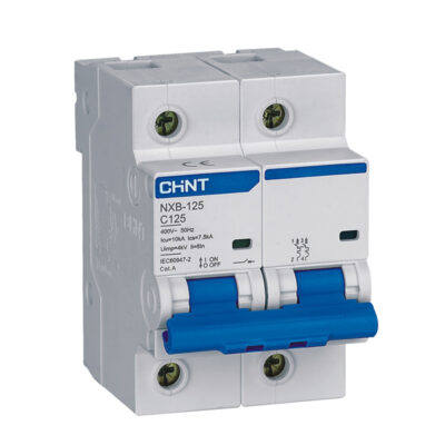 Chint NXB-125 Miniature Circuit Breaker (MCB) 2 Pole 100A – NXB-125 2P C100