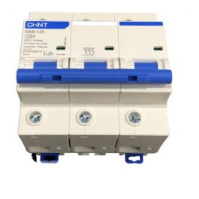 Chint NXB-125 Miniature Circuit Breaker MCB 3Pole 100A